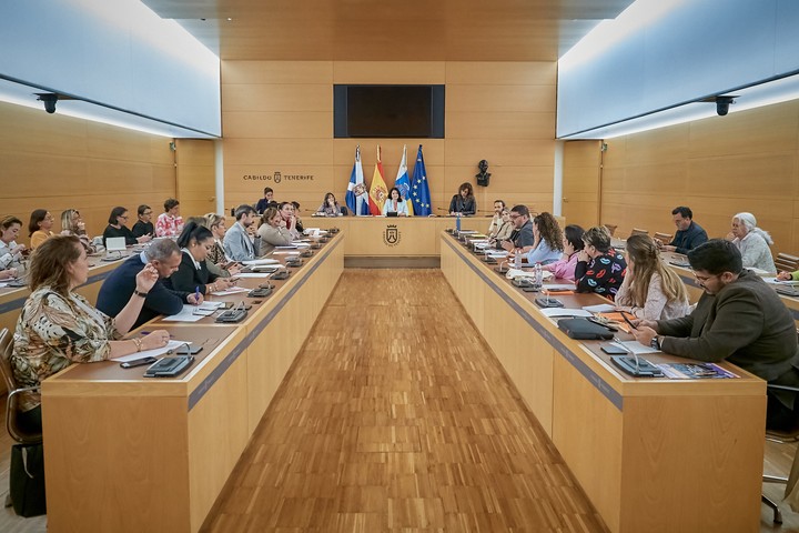 Imagen de El Cabildo de Tenerife destina 1,8 millones de euros para impulsar las políticas de Igualdad y Diversidad