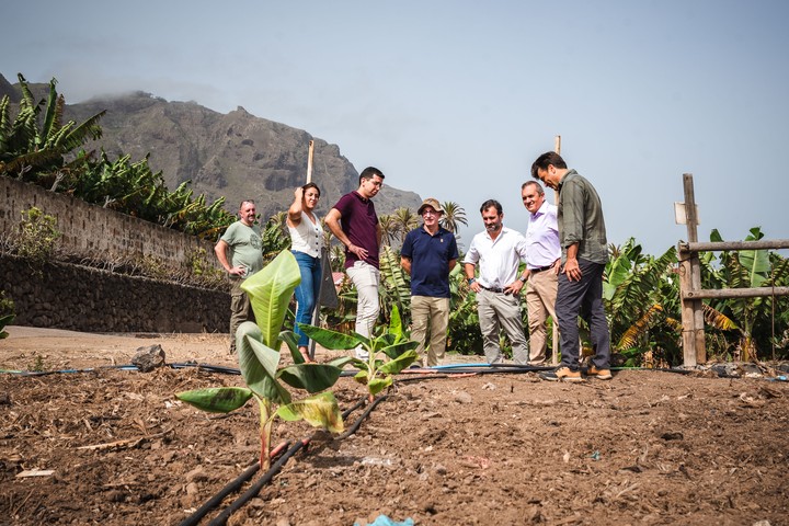 Imagen de Sector Primario pone en marcha un Plan de Formación Agraria con más de 200 acciones formativas durante 2025