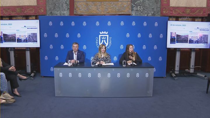 Imagen de El Cabildo y la Fundación Foresta impulsan la recuperación de los montes a través de ‘Tenerife Renace’