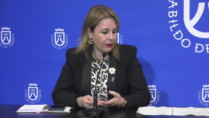 Imagen de Tenerife acoge el I Foro Regional de Comercio Ambulante