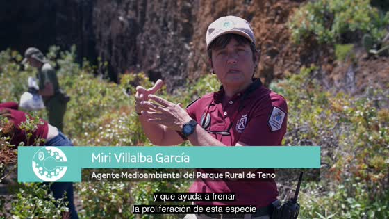 Imagen de III Encuentro de Innovación y Buenas Prácticas. Proyecto 'Aprendizaje Servicio Guardas de Aregume'