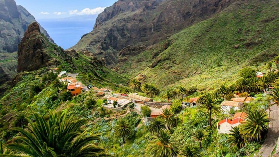 Imagen de Live - BALANCE IDE LA IMPLANTACIÓN DE LA ECOTASA EN EL CAMINO DEL BARRANCO DE MASCA