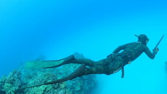 Imagen de Live - PRESENTACIÓN DEL CAMPEONATO DE ESPAÑA DE PESCA SUBMARINA