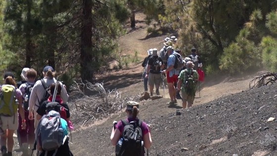 Imagen de Tenerife Walking Festival 2015